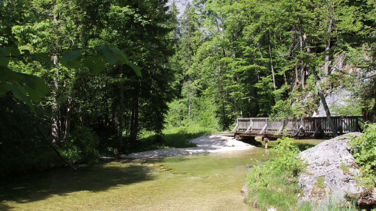 Divers toplitzbach castrid eder