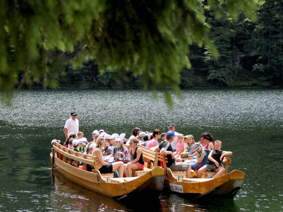 Plätte am Toplitzsee