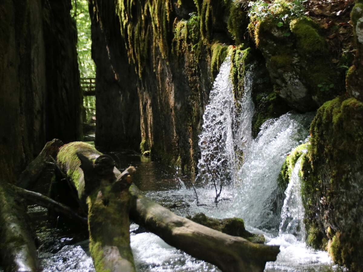 Triftkanal4 castrid eder