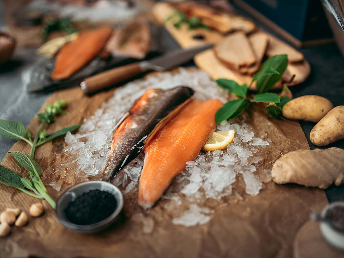 Fischerei ckarl steinegger