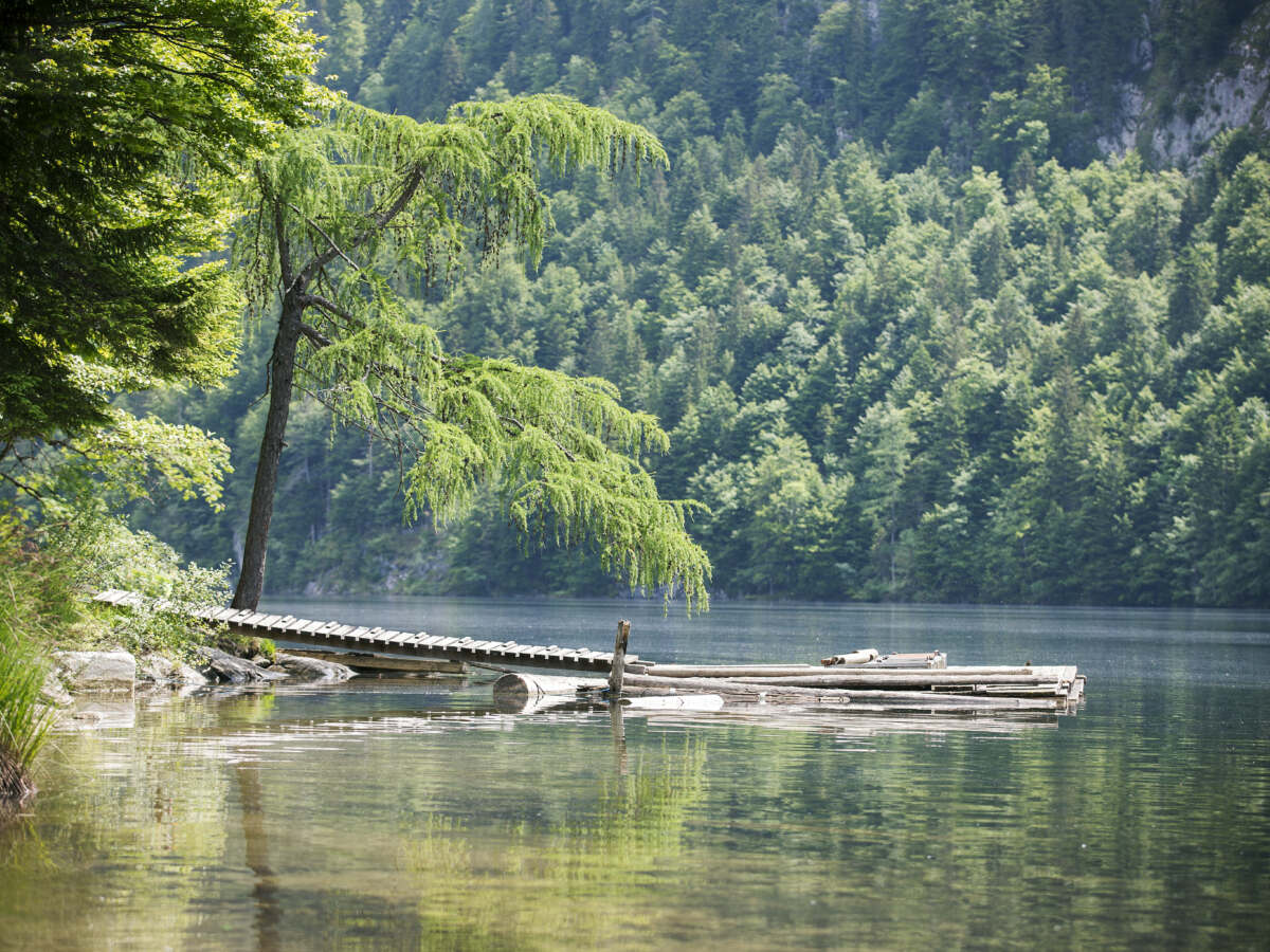 Toplitzsee1 charald eisenberger